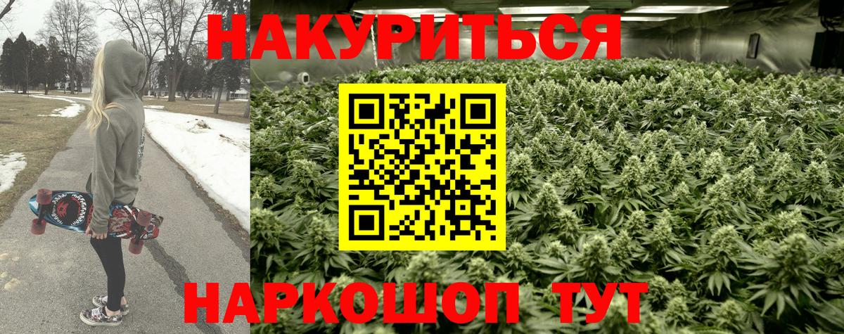 Конопля сатива  Марихуана Ganja  Бошки марихуана планчик  Майский  Вход с VPN  Бошки Шишки Ganja 